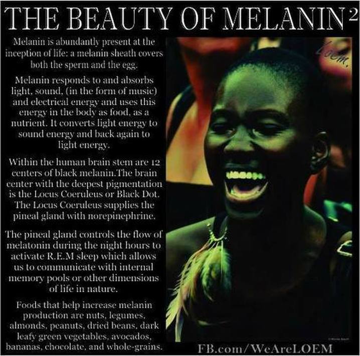 Black Biology And Nutrition The Melanin Diet